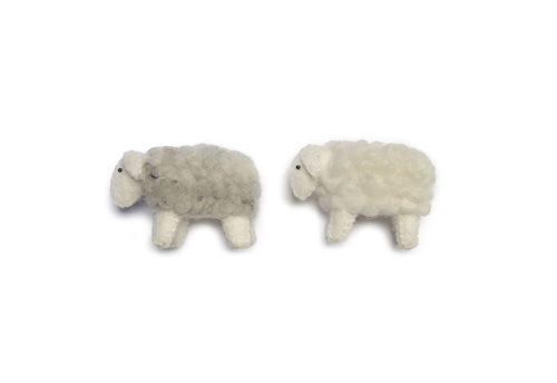 Sheeps, Small
