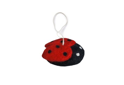 Ornament, Ladybug