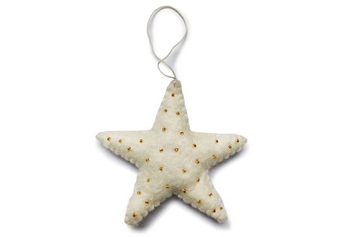 Ornament, Star, White